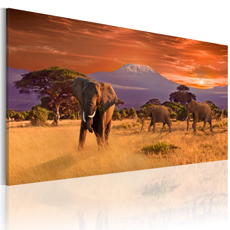 Canvas Adventure in Africa 58541 additionalImage 2