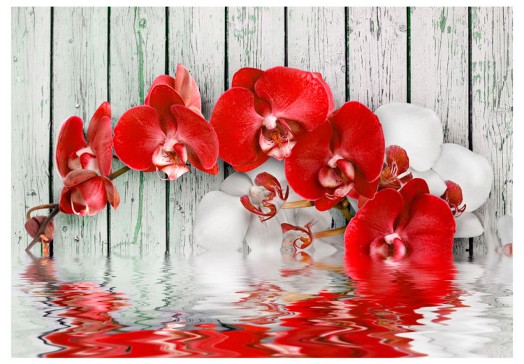 Photo Wallpaper Ruby orchid 60241 additionalImage 1