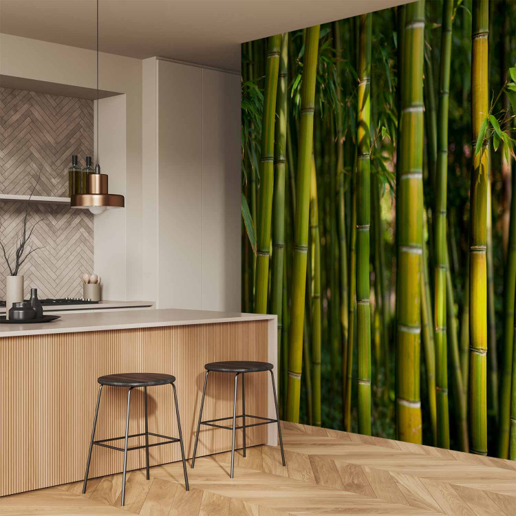 Photo Wallpaper Japanese Theme - Oriental Forest with Bamboo Stems at the Center 61441 additionalImage 7