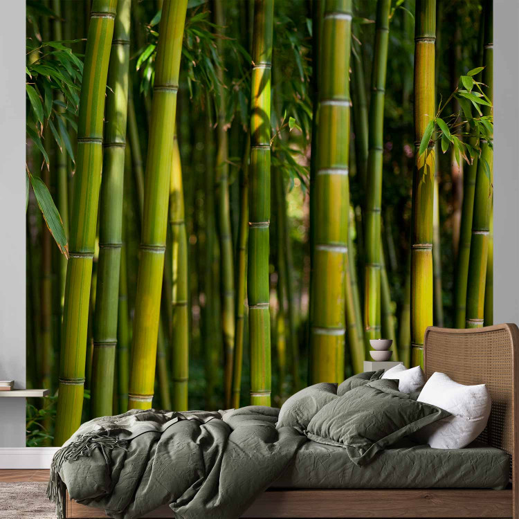 Photo Wallpaper Japanese Theme - Oriental Forest with Bamboo Stems at the Center 61441 additionalImage 2