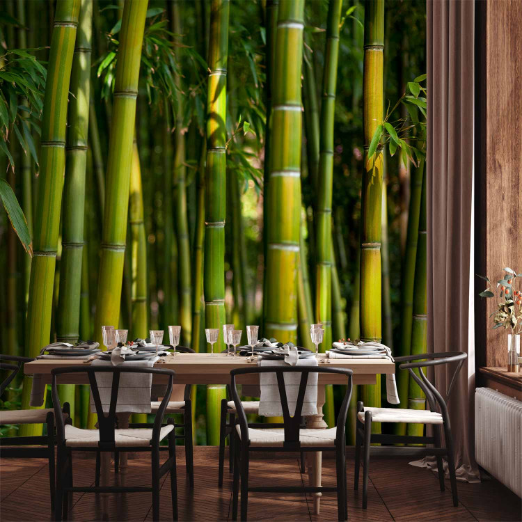 Photo Wallpaper Japanese Theme - Oriental Forest with Bamboo Stems at the Center 61441 additionalImage 6