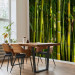 Photo Wallpaper Japanese Theme - Oriental Forest with Bamboo Stems at the Center 61441 additionalThumb 4