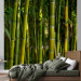 Photo Wallpaper Japanese Theme - Oriental Forest with Bamboo Stems at the Center 61441 additionalThumb 2