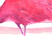 Canvas Print Flamingo in Pink Style (1-part) - Bird Against Bold Stripes 115251 additionalThumb 5