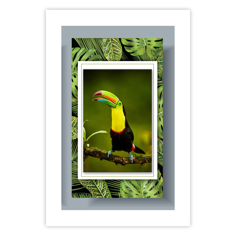 Wall Poster Toucan - colorful bird sitting on a branch among tropical leaves 116451 additionalImage 25