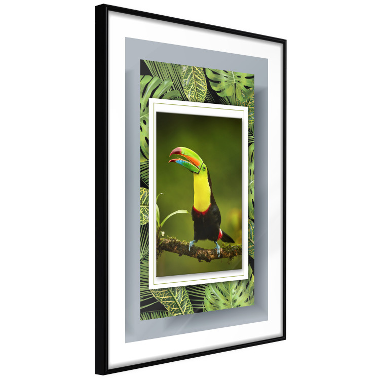 Wall Poster Toucan - colorful bird sitting on a branch among tropical leaves 116451 additionalImage 11