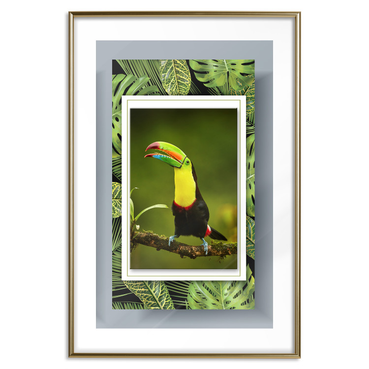 Wall Poster Toucan - colorful bird sitting on a branch among tropical leaves 116451 additionalImage 14