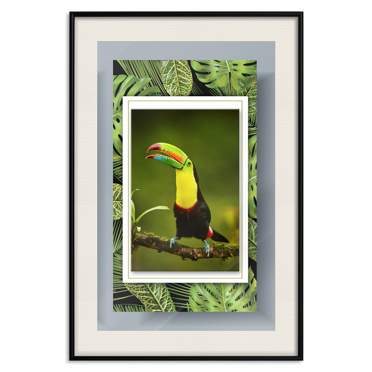 Wall Poster Toucan - colorful bird sitting on a branch among tropical leaves 116451 additionalImage 18