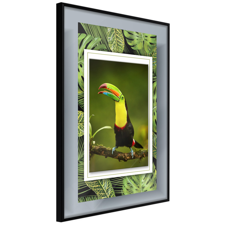 Wall gallery pictures Jungle Animals  125205 additionalImage 4