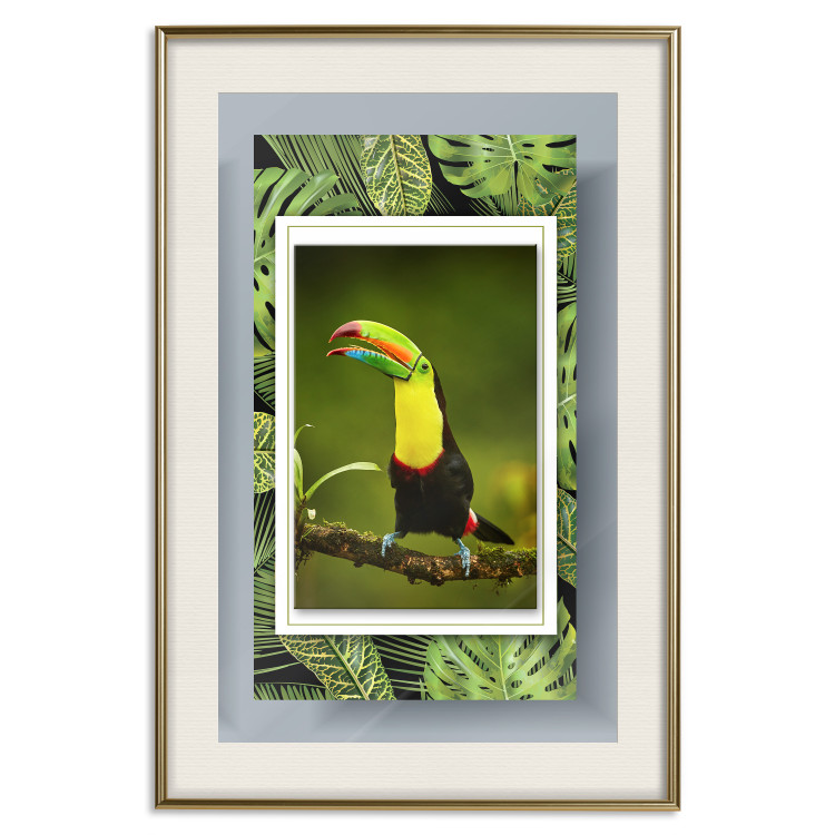Wall Poster Toucan - colorful bird sitting on a branch among tropical leaves 116451 additionalImage 19