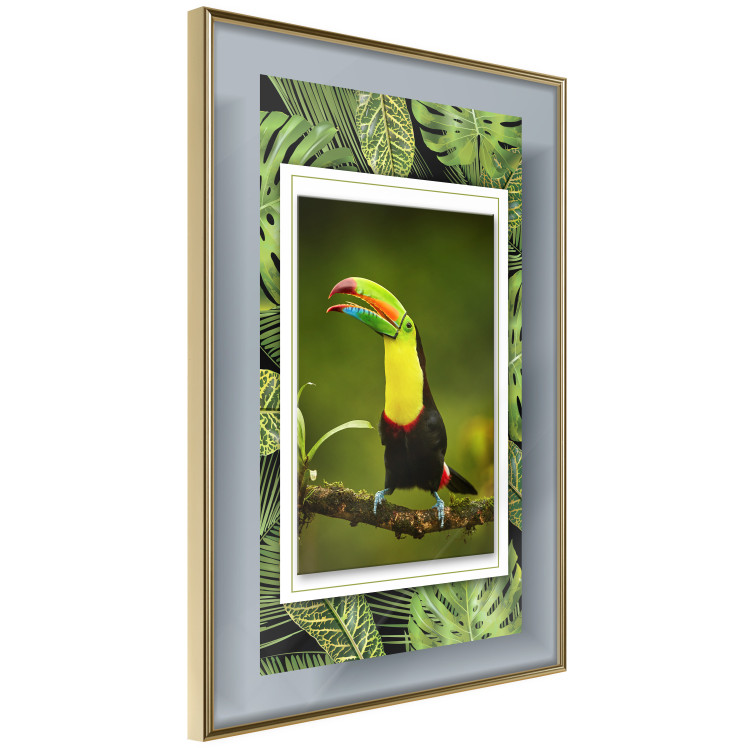 Wall Poster Toucan - colorful bird sitting on a branch among tropical leaves 116451 additionalImage 12