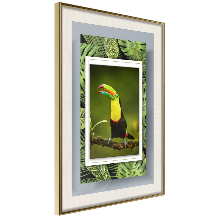 Wall Poster Toucan - colorful bird sitting on a branch among tropical leaves 116451 additionalImage 2