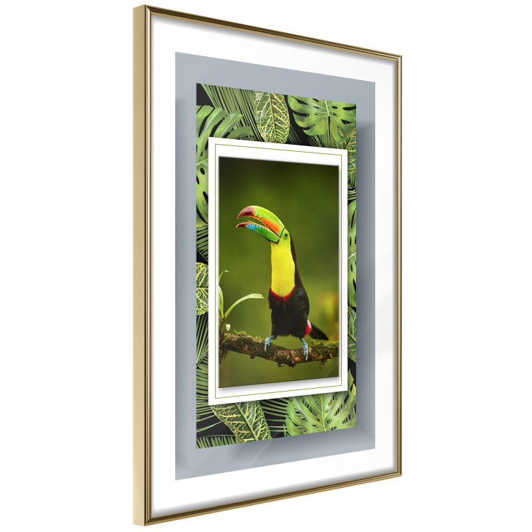 Wall Poster Toucan - colorful bird sitting on a branch among tropical leaves 116451 additionalImage 8