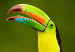 Wall Poster Toucan - colorful bird sitting on a branch among tropical leaves 116451 additionalThumb 11