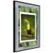 Wall Poster Toucan - colorful bird sitting on a branch among tropical leaves 116451 additionalThumb 10