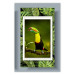 Wall Poster Toucan - colorful bird sitting on a branch among tropical leaves 116451