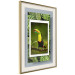 Wall Poster Toucan - colorful bird sitting on a branch among tropical leaves 116451 additionalThumb 2