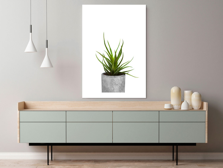 Wall Poster Haworthia - simple composition with a green plant in a concrete pot 116651 additionalImage 8
