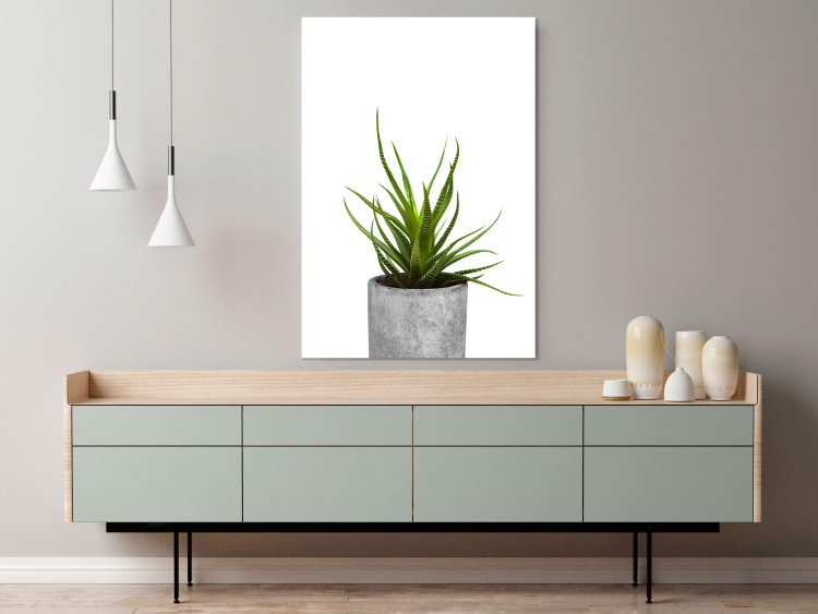 Wall Poster Haworthia - simple composition with a green plant in a concrete pot 116651 additionalImage 23