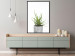 Wall Poster Haworthia - simple composition with a green plant in a concrete pot 116651 additionalThumb 7