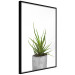Wall Poster Haworthia - simple composition with a green plant in a concrete pot 116651 additionalThumb 2