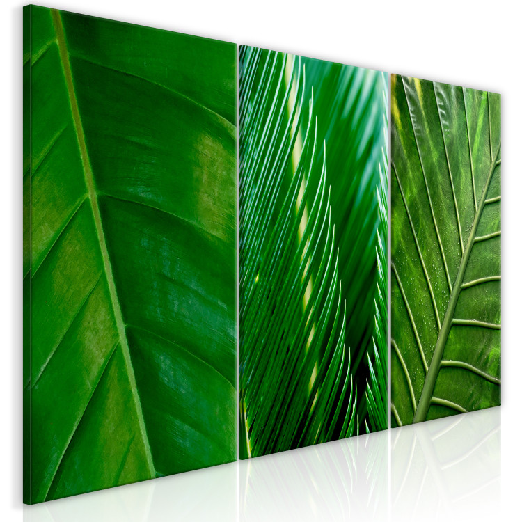 Canvas Art Print Leaves (Collection) 116851 additionalImage 2