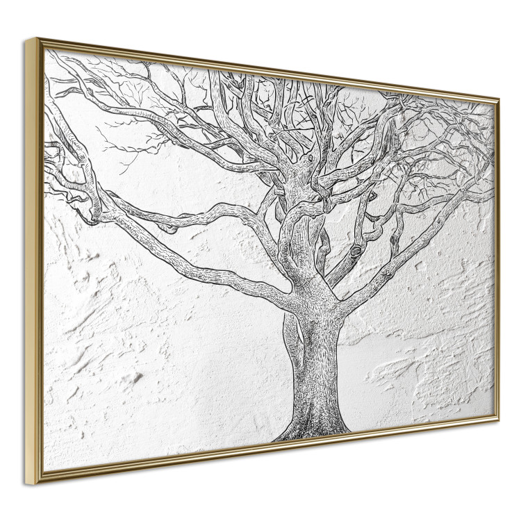 Poster Old Tree - black and white composition with vegetation on an irregular background 117251 additionalImage 11