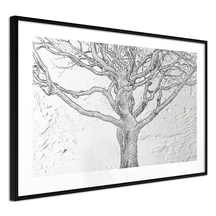 Poster Old Tree - black and white composition with vegetation on an irregular background 117251 additionalImage 12