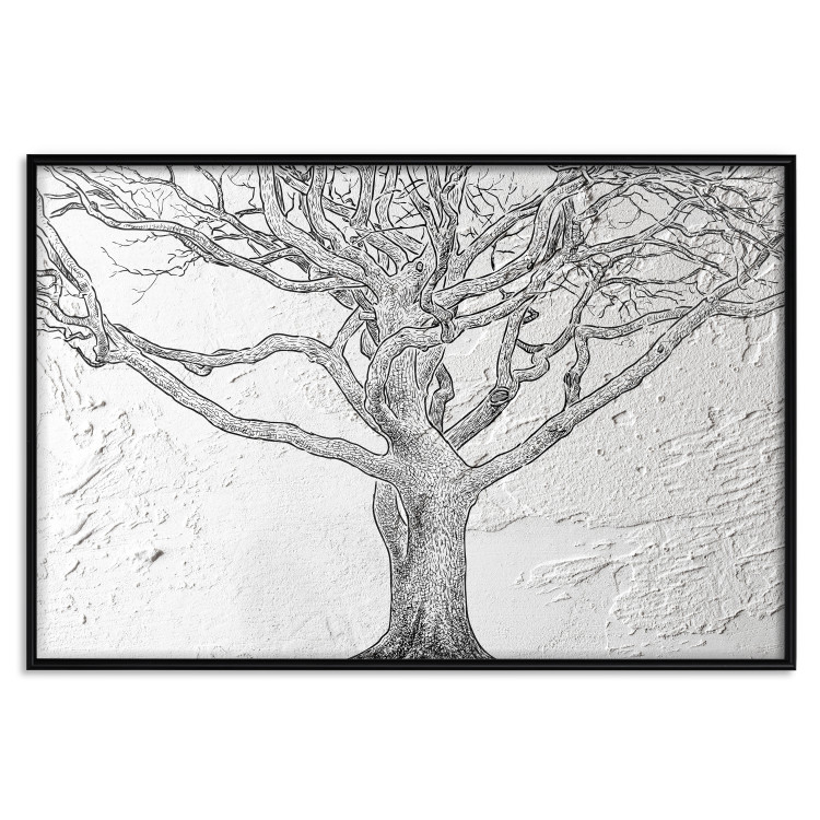 Poster Old Tree - black and white composition with vegetation on an irregular background 117251 additionalImage 16