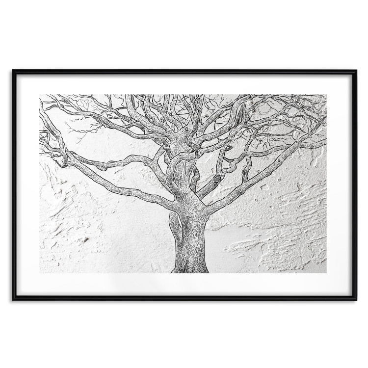 Poster Old Tree - black and white composition with vegetation on an irregular background 117251 additionalImage 25