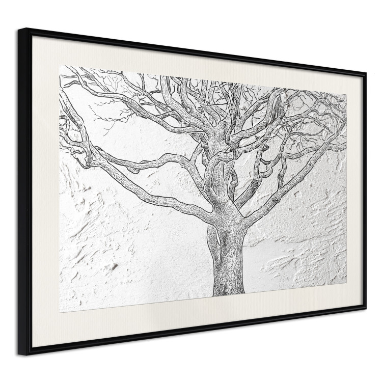 Poster Old Tree - black and white composition with vegetation on an irregular background 117251 additionalImage 3