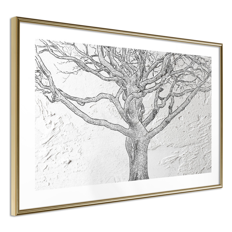Poster Old Tree - black and white composition with vegetation on an irregular background 117251 additionalImage 8