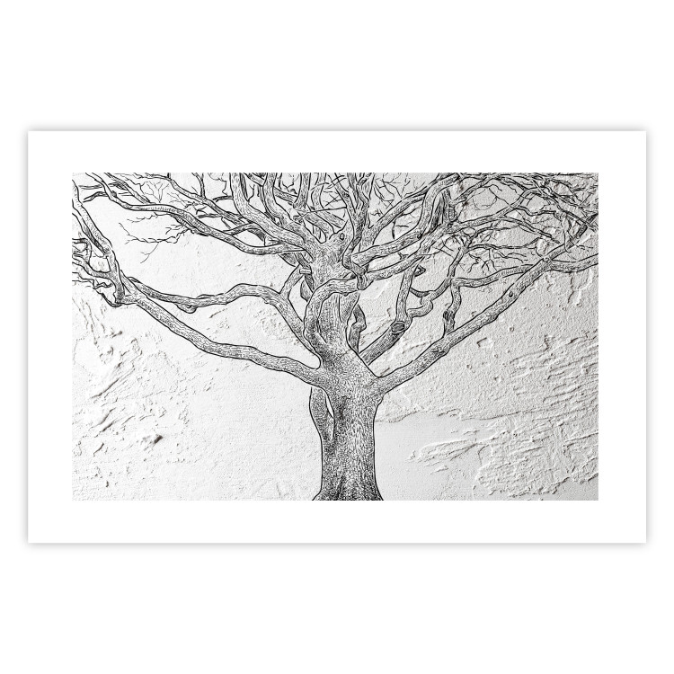 Poster Old Tree - black and white composition with vegetation on an irregular background 117251 additionalImage 14