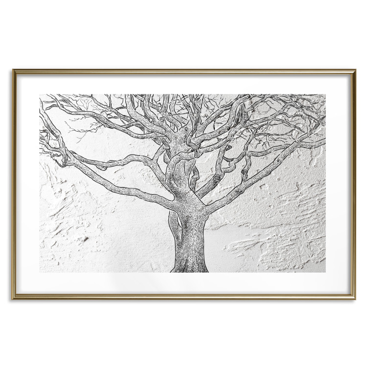 Poster Old Tree - black and white composition with vegetation on an irregular background 117251 additionalImage 26