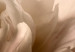 Canvas Soft Petals (1 Part) Vertical 123751 additionalThumb 5