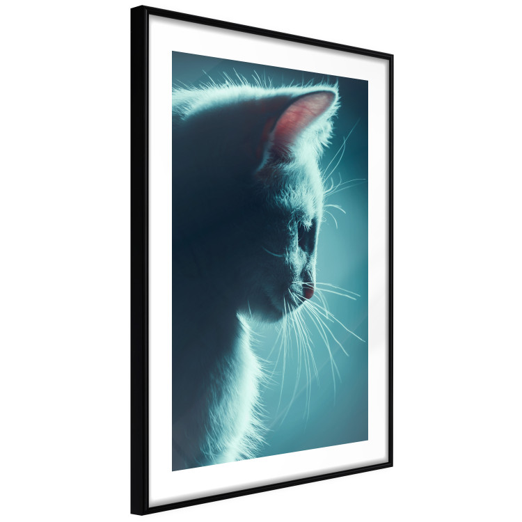 Wall Poster Night Wanderer - portrait of a cat in winter night blue lighting 124451 additionalImage 11