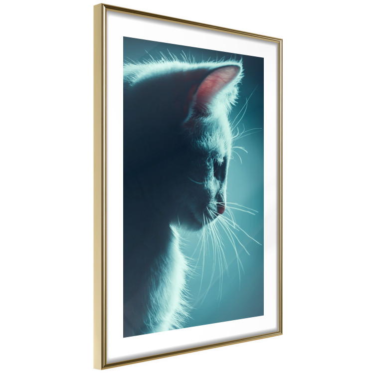 Wall Poster Night Wanderer - portrait of a cat in winter night blue lighting 124451 additionalImage 6