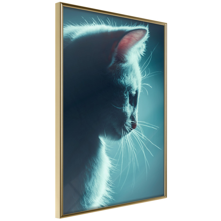 Wall Poster Night Wanderer - portrait of a cat in winter night blue lighting 124451 additionalImage 12