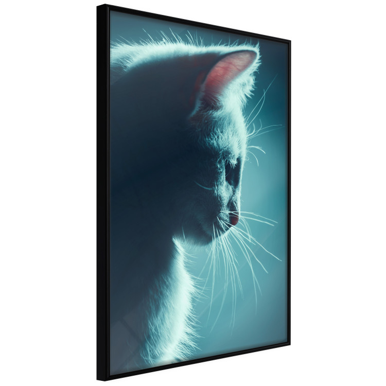 Wall Poster Night Wanderer - portrait of a cat in winter night blue lighting 124451 additionalImage 10