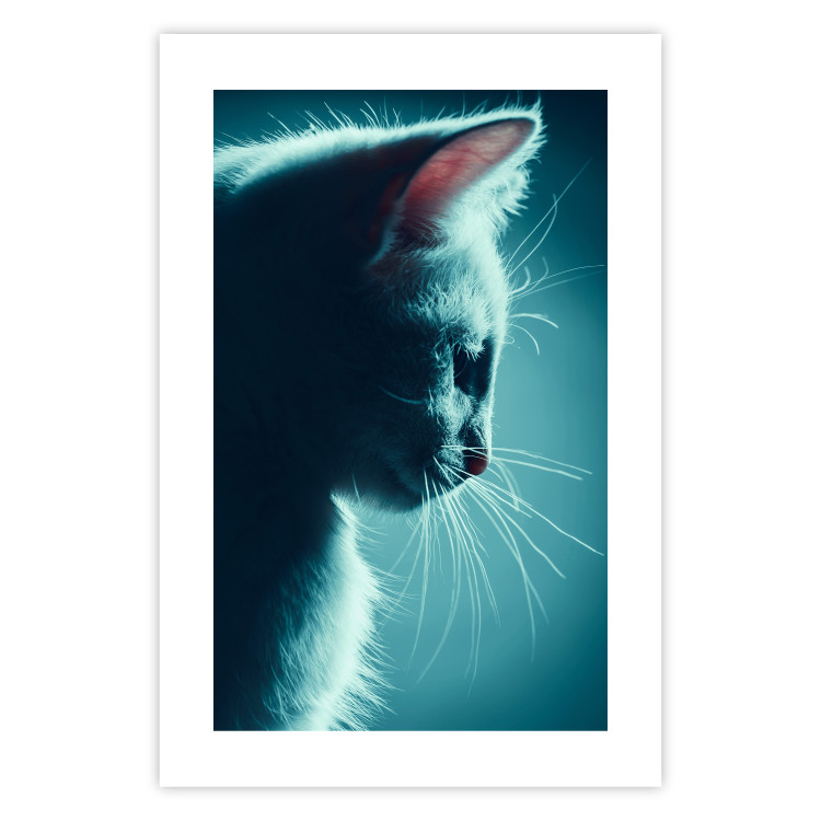 Wall Poster Night Wanderer - portrait of a cat in winter night blue lighting 124451 additionalImage 19
