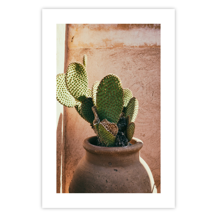 Wall Poster Cactus in a Pot - succulent in a pot against the bright sunlight 134751 additionalImage 25