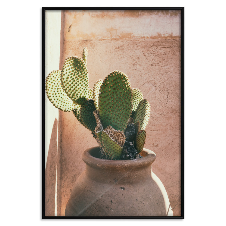 Wall Poster Cactus in a Pot - succulent in a pot against the bright sunlight 134751 additionalImage 18