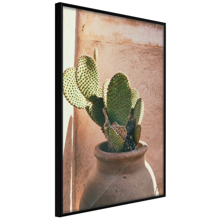 Wall Poster Cactus in a Pot - succulent in a pot against the bright sunlight 134751 additionalImage 13