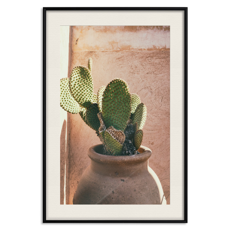 Wall Poster Cactus in a Pot - succulent in a pot against the bright sunlight 134751 additionalImage 19