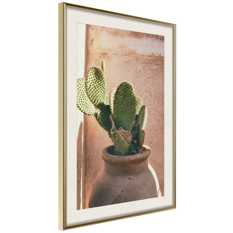 Wall Poster Cactus in a Pot - succulent in a pot against the bright sunlight 134751 additionalImage 3