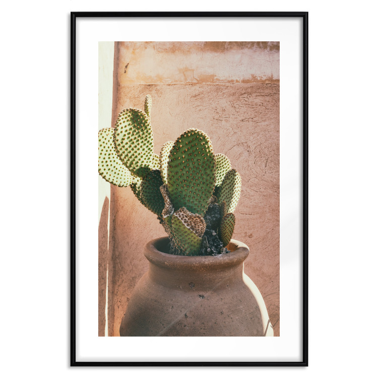 Wall Poster Cactus in a Pot - succulent in a pot against the bright sunlight 134751 additionalImage 17