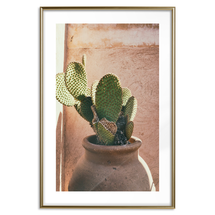 Wall Poster Cactus in a Pot - succulent in a pot against the bright sunlight 134751 additionalImage 16