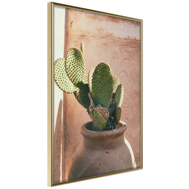 Wall Poster Cactus in a Pot - succulent in a pot against the bright sunlight 134751 additionalImage 14