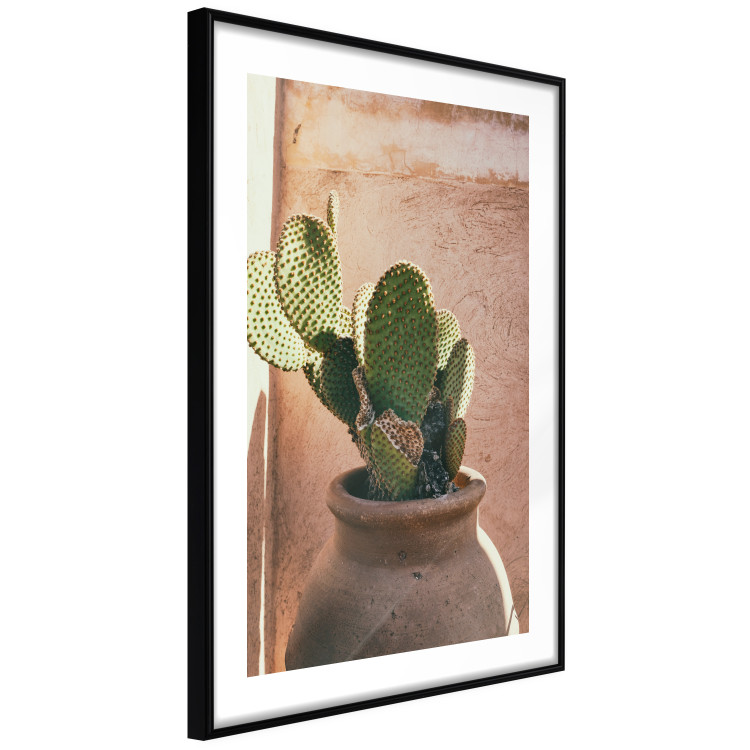 Wall Poster Cactus in a Pot - succulent in a pot against the bright sunlight 134751 additionalImage 8