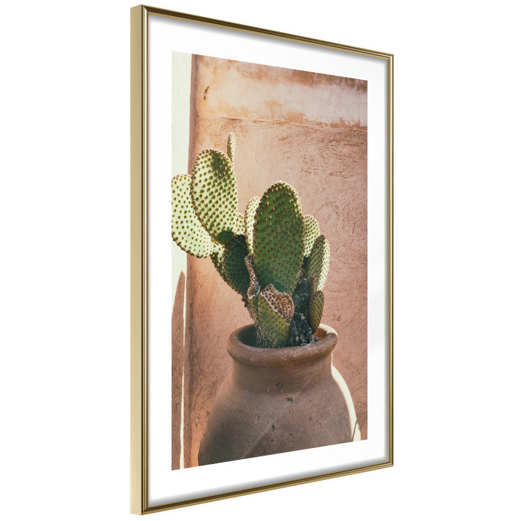 Wall Poster Cactus in a Pot - succulent in a pot against the bright sunlight 134751 additionalImage 9